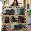 Shetland Sheepdog Look Back At It Quilt Bedding Set Great for Bedroom Decoration and Family Gifts