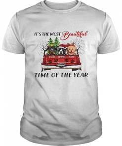 It's The The Most Beautiful Dylan Cooper Pluto Time of The Year Shirt
