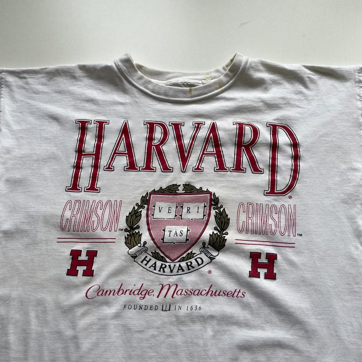 Vintage Style 90s Y2K Harvard University Graphic Large Hoodie Sweatshirt Crewneck Sweatshirt Full Size Gifts for Fans - Image 2