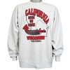 NCAA Wisconsin Football, California Here We Come Again Sweatshirt 1990s Vintage Style Hoodie Shirt Reprinted for Fans