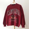 South Carolina Crewneck Sweatshirt, Vintage Carolina Sweatshirt, South Carolina T-Shirt, Hoodie