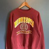 Vintage 90's University of Minnesota Crewneck Sweatshirt, Vintage Shirt, T Shirt, Hoodie