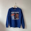 Vintage 1990 University of Kentucky Wildcats Crewneck Sweatshirt, Vintage Shirt, T Shirt, Hoodie