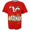 NCAA Louisville Cardinals Big Spell-Out T-Shirt, Vintage 1990s University of Louisville Crewneck Sweatshirt, Hoodie