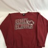 Vintage Carolina Gamecocks Sweatshirt, Hoodie, Shirt Full Size, Usc Hoodie for NCAA Fans