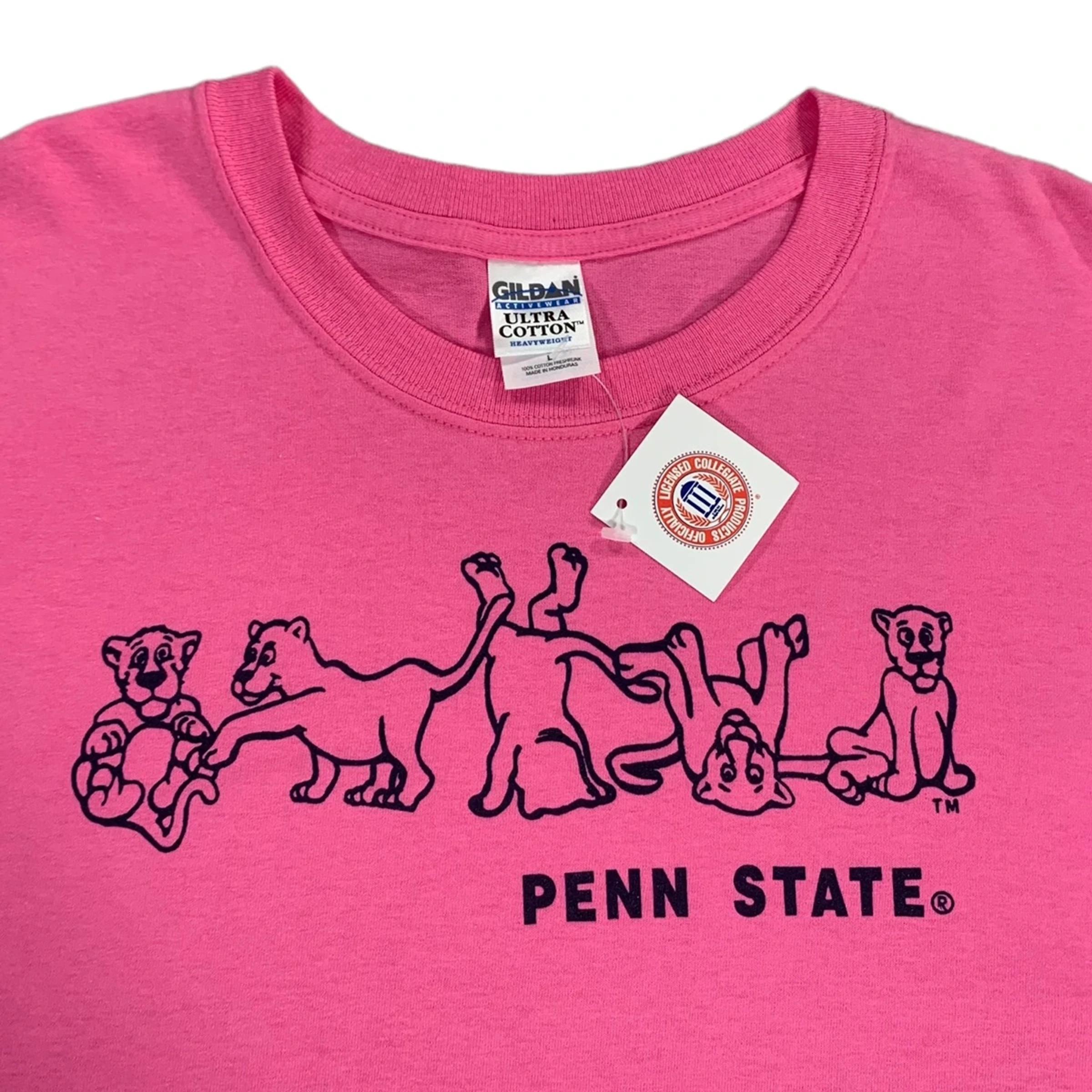 Vintage Style Penn State Nittany Lions Mens Pink College Hoodie Sweatshirt Crewneck Sweatshirt Full Size Gifts for NCAA - Image 2