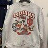 Vintage NCAA Indiana Hoosiers Looney Tunes Sweatshirt, University of Indiana Hoosiers Shirtshirt Hoodie