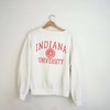 Vintage White Indiana University Sweatshirt, Three Options Unisex T Shirt, Unisex Sweashirt, Unisex Hoodied