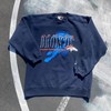 Vintage Style Starter Denver Broncos Thick Shirt Hoodie Sweatshirt Reprinted Gifts for NFL Fans