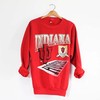 Vintage Indiana University Hoosiers Sweatshirt, Vintage Sweatshirt, T-Shirt, Hoodie