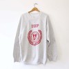Vintage Indiana University of Pennsylvania Iup Sweatshirt Full Size, Unisex T Shirt