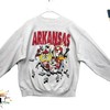 Vintage NCAA Arkansas Razorbacks Looney Tunes Sweatshirt, Arkansas Razorbacks Shirt, University of Arkansas