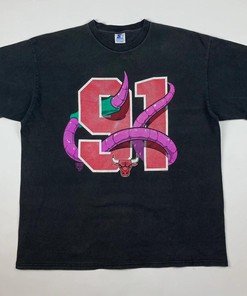 Vintage Style 90s Chicago Bulls Dennis Rodman The Worm Shirt Hoodie Sweatshirt Reprinted Full Size Gifts for NBA Fans