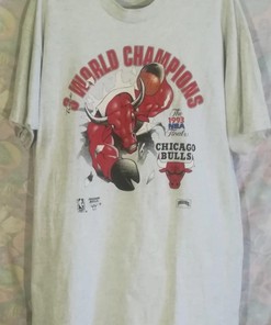 Vintage Style 90's Chicago Bulls World Champion Shirt Hoodie Sweatshirt Reprinted Full Size Gifts for NBA Fans
