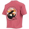 Wocardinal Arkansas Razorbacks Circle Scene Comfort Colors Shirt, Hogs Shirt for Fans, Arkansas Razorbacks Hoodie