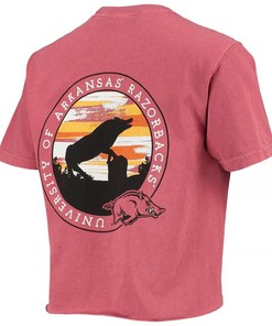 Wocardinal Arkansas Razorbacks Circle Scene Comfort Colors Shirt, Hogs Shirt for Fans, Arkansas Razorbacks Hoodie