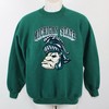 Vintage 90’S Michigan State Spartans Msu Sweatshirt, Michigan State University Spartans Sweatshirt, Vintage 90s Shirt