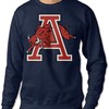 Arkansas Razorbacks Hoodie Sweatshirt Shirt Full Size for NCAA Fans, Ausin Crew Neck Sweatshirts University of Arkansas