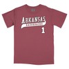 Arkansas Razorbacks Hoodie Sweatshirt Shirt Full Size for NCAA Fans, Arkansas Razorbacks Robert Moore Shirsey Cardinal