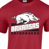 Arkansas Razorbacks Hoodie Sweatshirt Shirt Full Size for NCAA Fans, Arkansas Razorbacks Apparel Youth T-Shirt