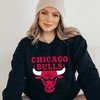 Vintage 90s Chicago Bulls Logo Sweatshirt, Basketball Shirtshirt Hoodie Gifts for NBA Fans