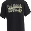 NCAA Colorado Buffaloes Acho Short Sleeve T-Shirt, Cu Buffs Sweatshirt, Shirt, Hoodie Gifts for NCAA Fans