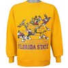 Vintage 1990's Florida State SeminolesNotre Dame Looney Tunes Sweatshirt, Vintage 90s Shirt, T-Shirt, Hoodie