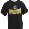 NCAA Appalachian State Mountaineers Sisqo Short Sleeved Shirts, App State Shirts for Football Team Lovers