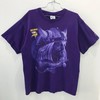 Vtg NFL Minnesota Vikings Pro Player Shirt Hoodie Sweatshirt Reprinted Gifts for NFL Fans