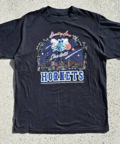 Vintage Style 90s Charlotte Hornets Promo Shirt Sweatshirt Hoodie Reprinted Full Size Gifts for NBA Fans