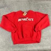University Cincinnati Bearcats Crewneck Graphic T-Shirt Sweatshirt Crewneck Hoodie Full Size Gifts for NCAA