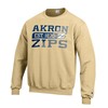 University of Akron Champion Powerblend Sweatshirt, University of Akron Sweatshirt, Akron Zips Shirt Gifts for NCAA Fans